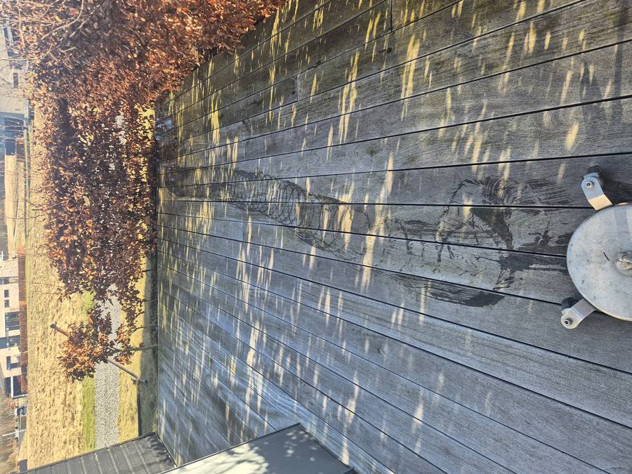 Rens af træterrasse før rens